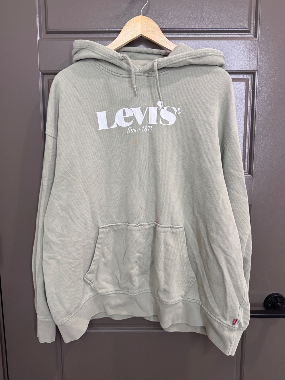 Levi’s Mint 100% Cotton Hoodie